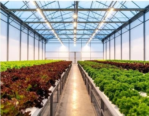 Productor agrícola colombiano con cosecha de campo — del agro a la mesa